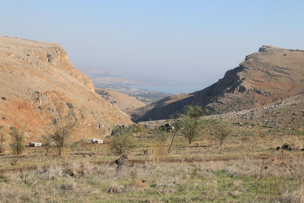 Switzerland In The Arbel Guest House Bilik gambar